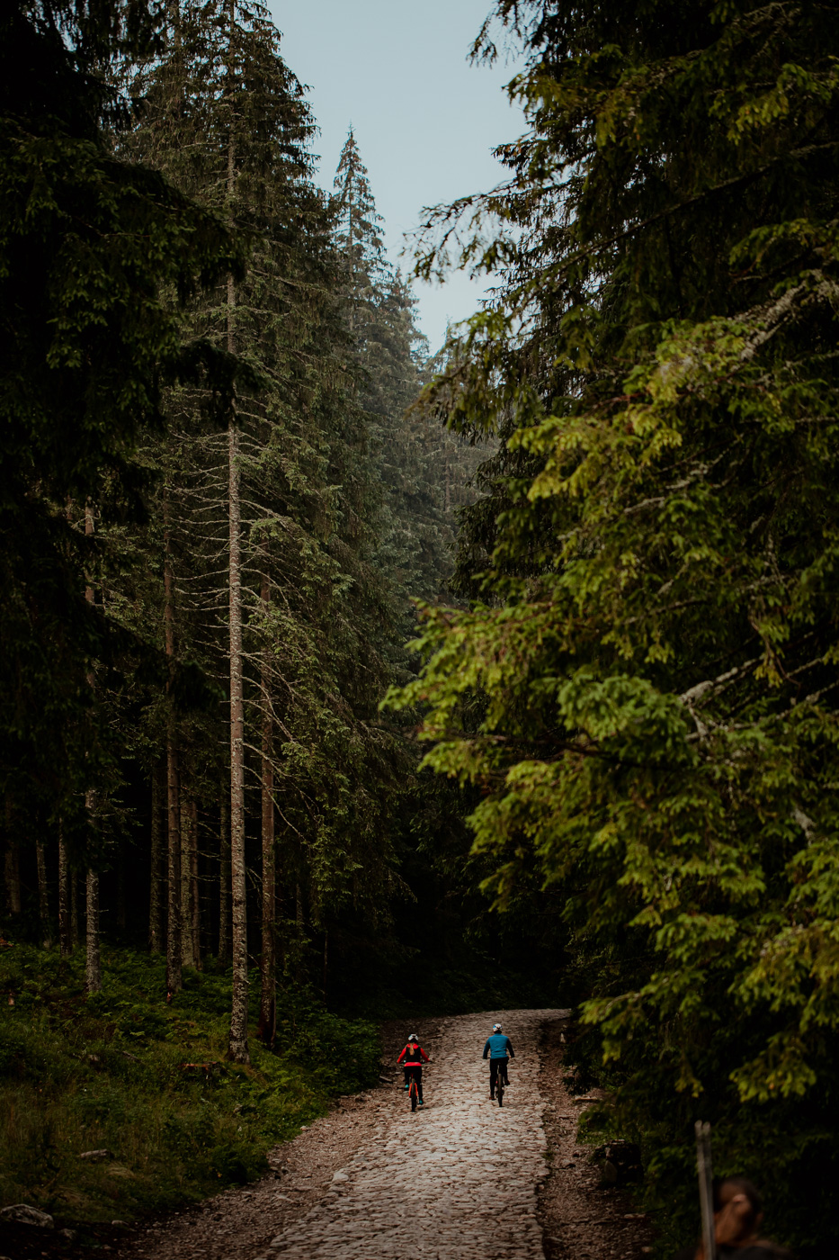 wypozyczalnia-rowerow-u-holka-42